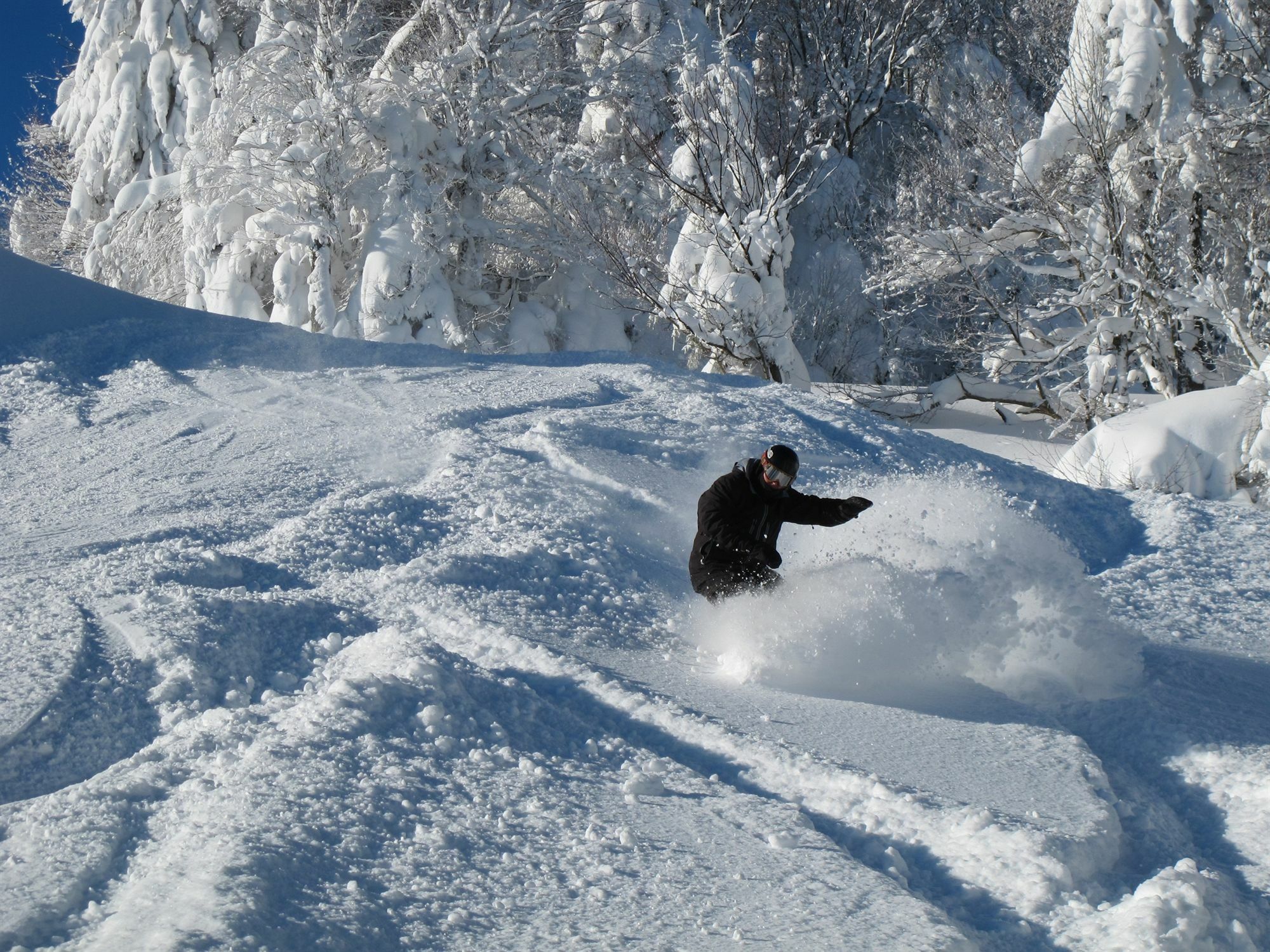 Inn At Snowshoe Zewnętrze zdjęcie